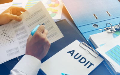 Audit Report Changes
